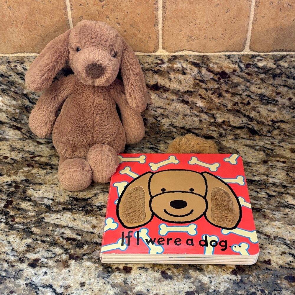 Jelly cat mini dog and book